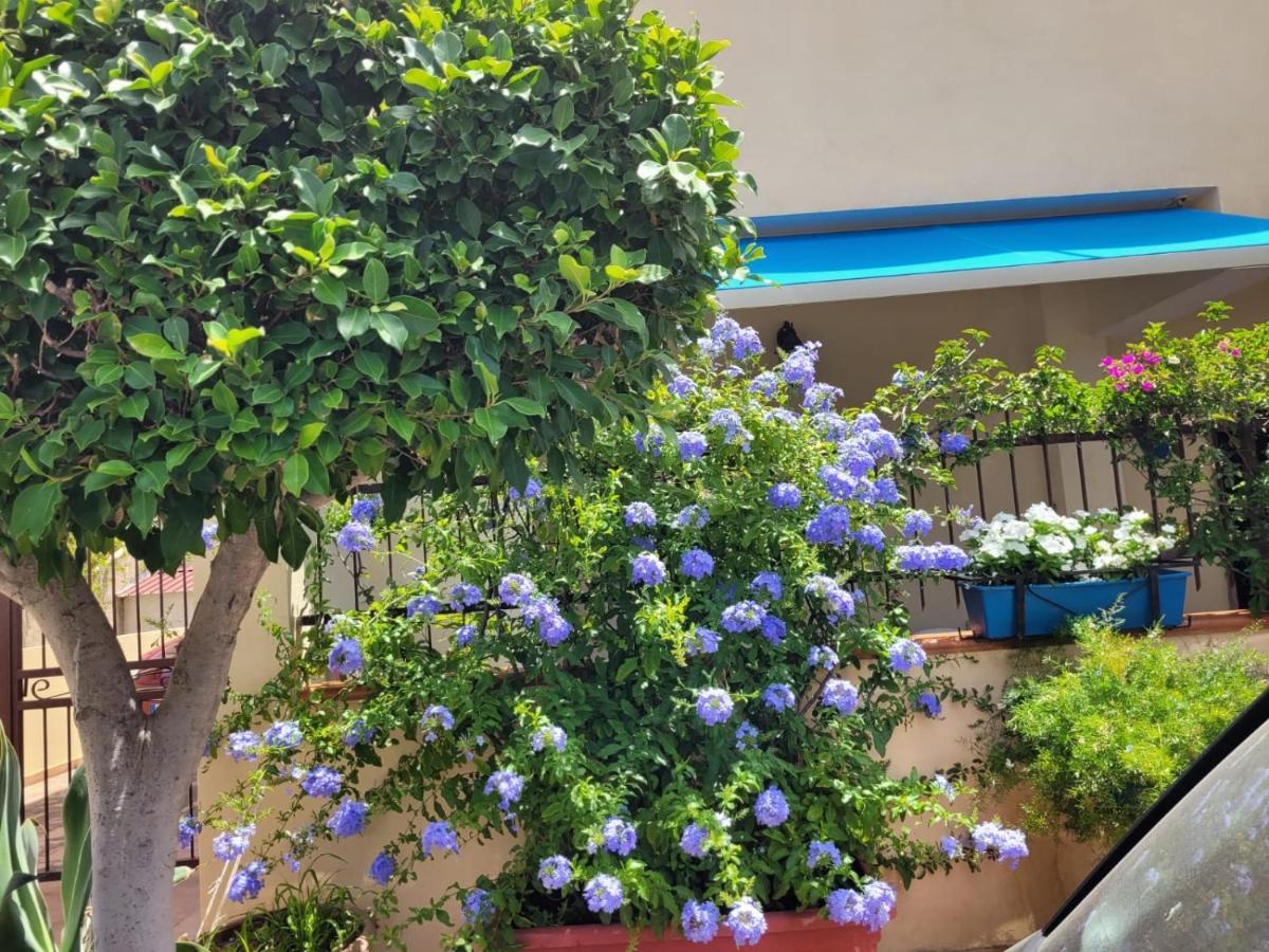 My Little House - Appartamento Con Patio E Parcheggio Privato A 5 Minuti Dalla Spiaggia E Dal Centro تروبيا المظهر الخارجي الصورة