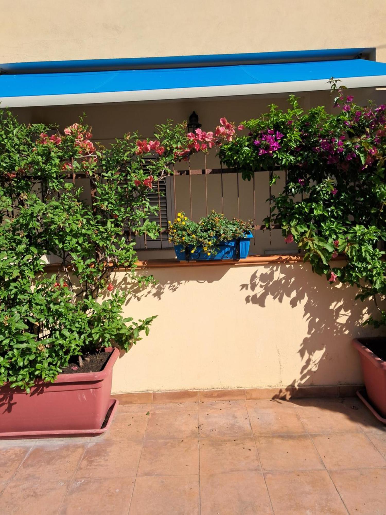 My Little House - Appartamento Con Patio E Parcheggio Privato A 5 Minuti Dalla Spiaggia E Dal Centro تروبيا المظهر الخارجي الصورة